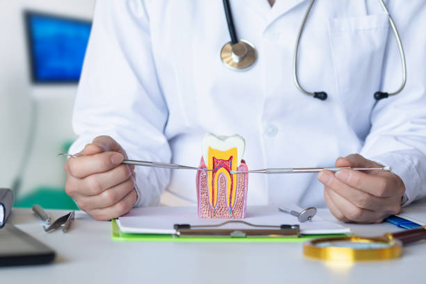 Best Emergency Dentist for Lost Fillings or Crowns in Hansville, WA